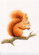 Lade das Bild in den Galerie-Viewer, Original-Aquarell-Affe