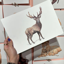 Lade das Bild in den Galerie-Viewer, Poster Hirsch