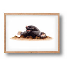 Lade das Bild in den Galerie-Viewer, Tierposter mit Maulwurf