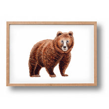 Lade das Bild in den Galerie-Viewer, Tierposter mit Braunbär
