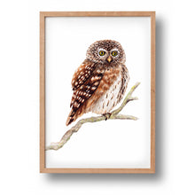 Load image into Gallery viewer, Poster robin