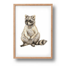 Lade das Bild in den Galerie-Viewer, Tierposter mit Waschbär