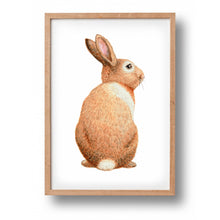 Lade das Bild in den Galerie-Viewer, Tierposter mit Kaninchen