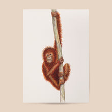 Lade das Bild in den Galerie-Viewer, Poster Affe