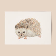 Lade das Bild in den Galerie-Viewer, Tierposter mit Igel