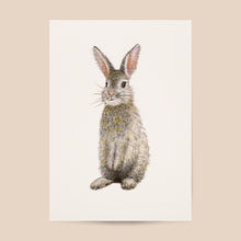 Load image into Gallery viewer, Poster rabbit