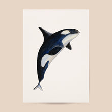 Lade das Bild in den Galerie-Viewer, Tierposter mit Orca
