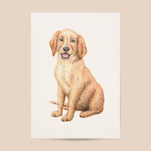 Lade das Bild in den Galerie-Viewer, Tierposter mit Golden Retriever Welpen
