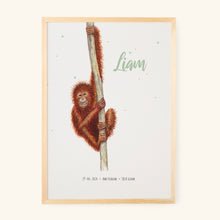 Lade das Bild in den Galerie-Viewer, Poster Affe