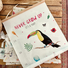 Lade das Bild in den Galerie-Viewer, Wachstumsmesslatte Vögel für Kinder Never grow up
