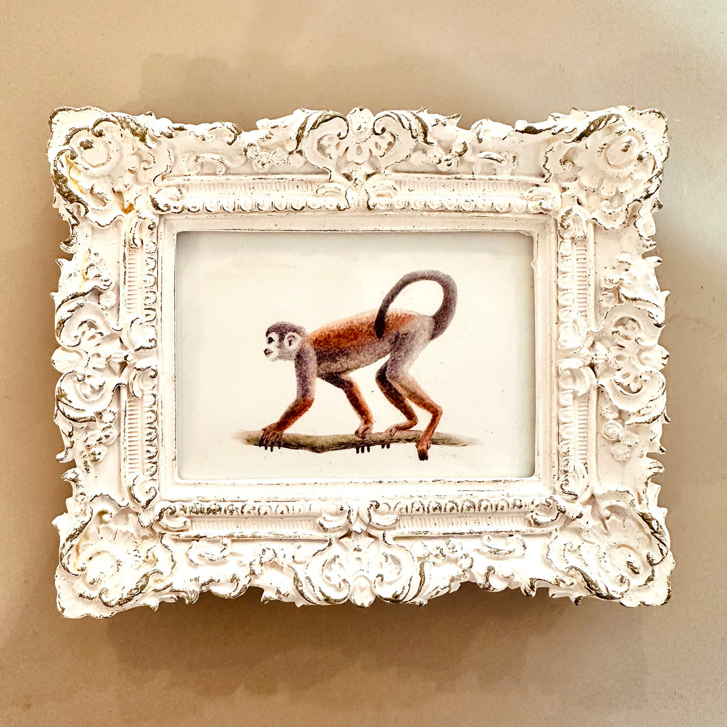 Wit barok lijstje met aapje art print