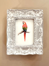 Afbeelding in Gallery-weergave laden, Lichtgrijs barok lijstje met papegaai art print
