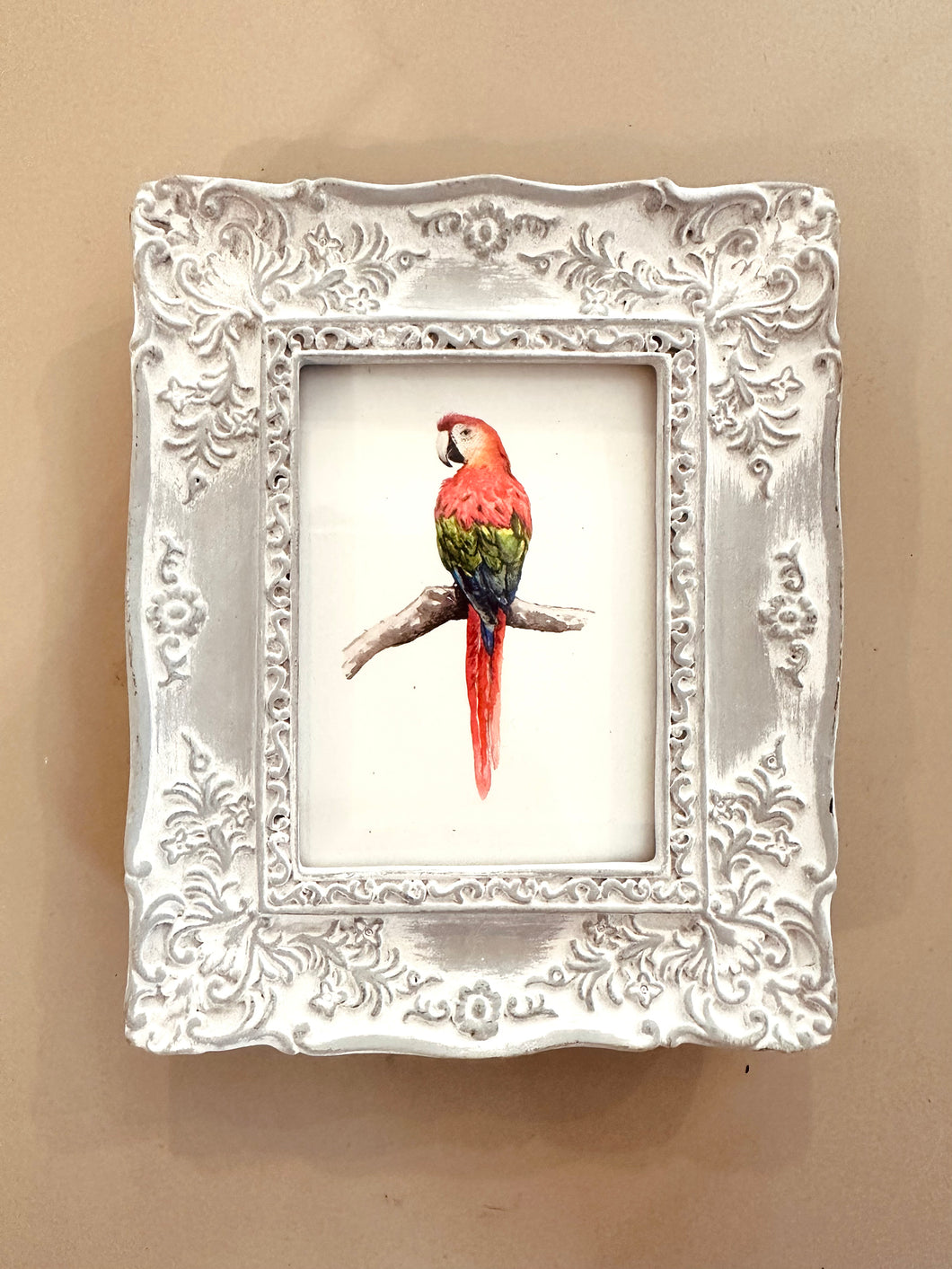 Lichtgrijs barok lijstje met papegaai art print