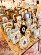 Afbeelding in Gallery-weergave laden, Donkerblauw fluwelen lijstje met papegaai art print