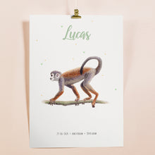 Lade das Bild in den Galerie-Viewer, Poster Affe