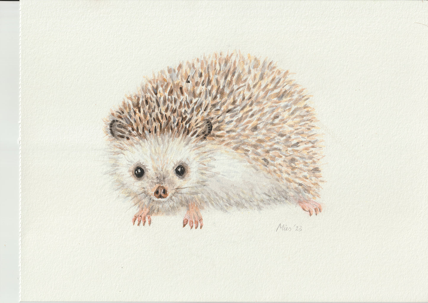 Origineel aquarel schilderij egel
