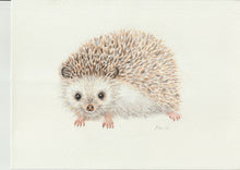 Lade das Bild in den Galerie-Viewer, Original-Aquarell-Affe