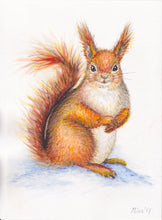 Load image into Gallery viewer, Original watercolor painting squirrel