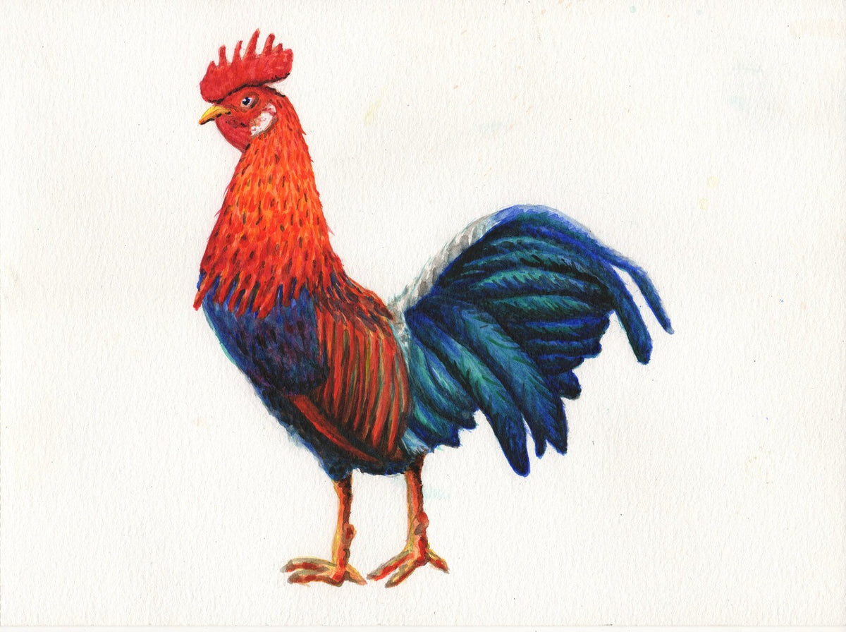 Original watercolor painting rooster
