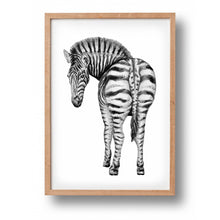 Load image into Gallery viewer, Poster zebra