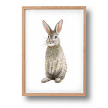 Load image into Gallery viewer, Poster rabbit