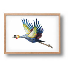 Lade das Bild in den Galerie-Viewer, 5 Poster Holländische Vögel