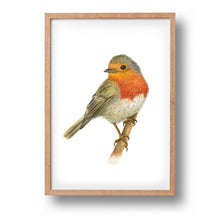 Lade das Bild in den Galerie-Viewer, Poster Rotkehlchen