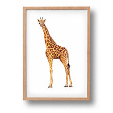 Load image into Gallery viewer, Poster giraffe