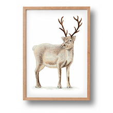 Lade das Bild in den Galerie-Viewer, Poster Rentier