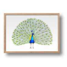 Lade das Bild in den Galerie-Viewer, Original-Aquarell Pfau