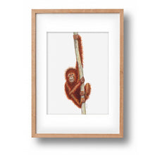 Lade das Bild in den Galerie-Viewer, Original-Aquarell-Affe