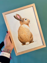 Lade das Bild in den Galerie-Viewer, Original-Aquarell Flappie