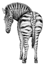 Afbeelding in Gallery-weergave laden, Muursticker zebra 50x70 cm
