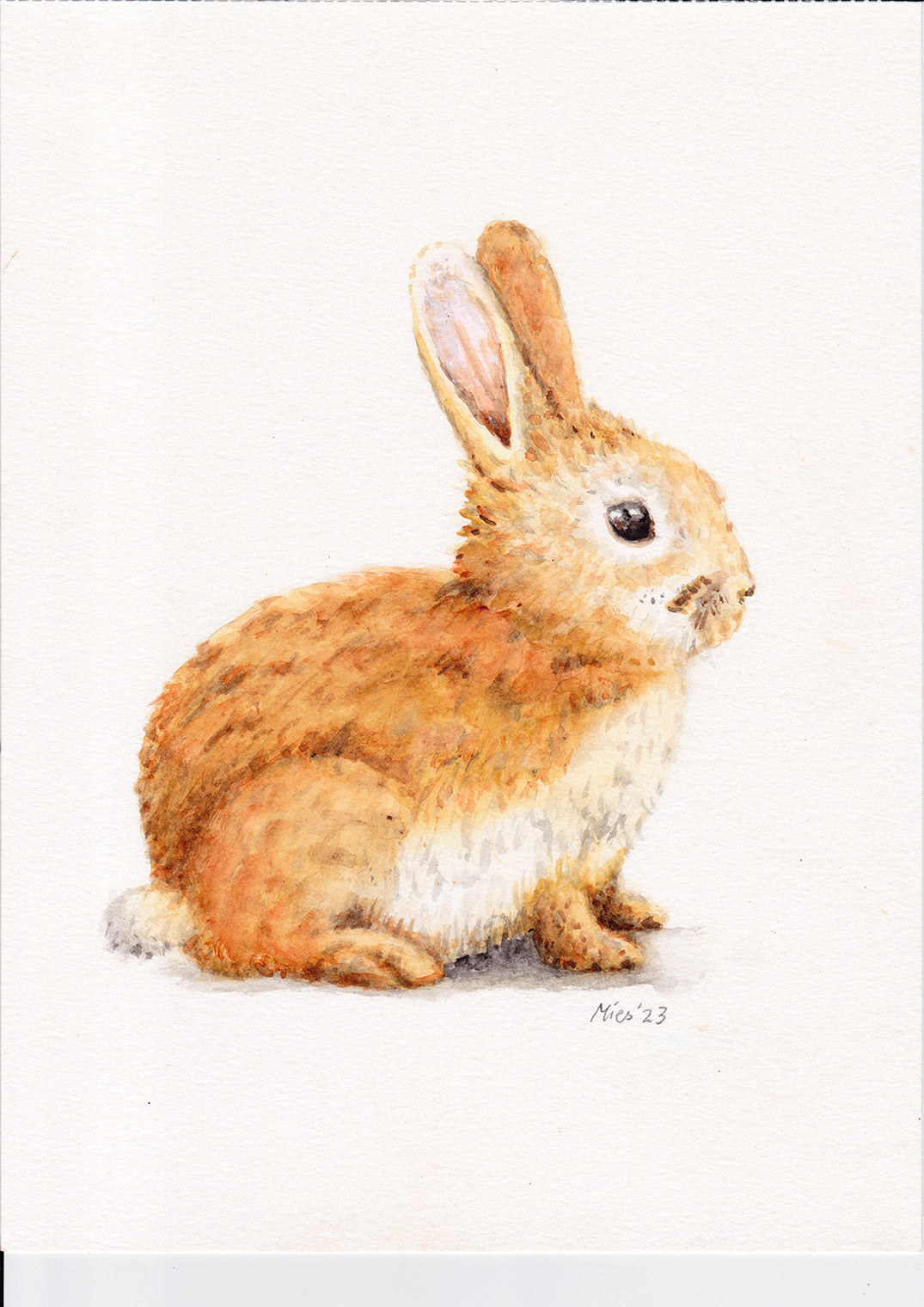Original-Aquarell-Affe