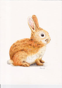 Origineel aquarel schilderij konijntje