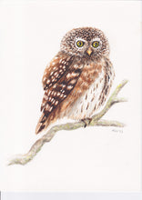 Afbeelding in Gallery-weergave laden, Origineel aquarel schilderij uil
