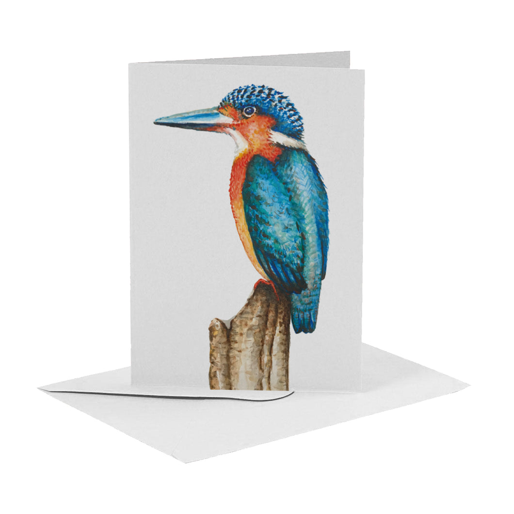 Wenskaart ijsvogel