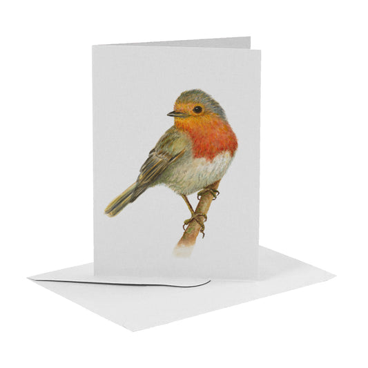 Robin greeting card