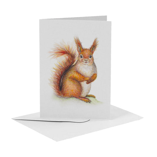 Greeting card squirrel