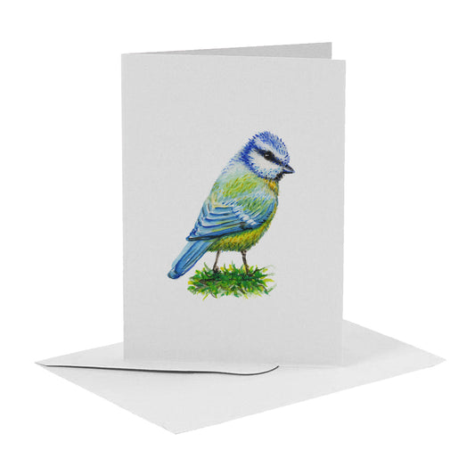 Greeting card blue tit