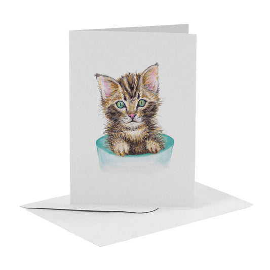 Greeting card kitten
