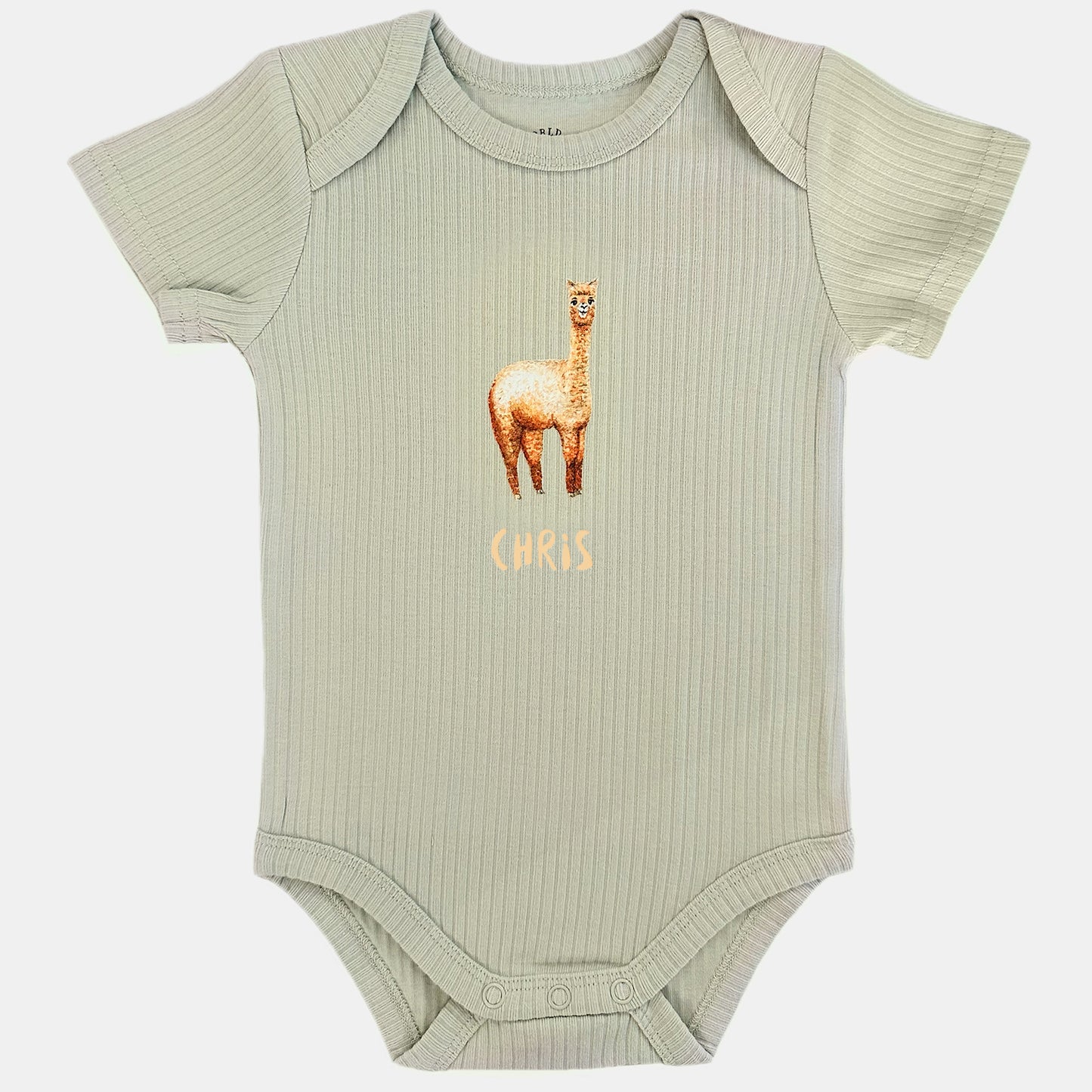 Baby romper bear