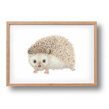 Afbeelding in Gallery-weergave laden, Poster egel - Art print
