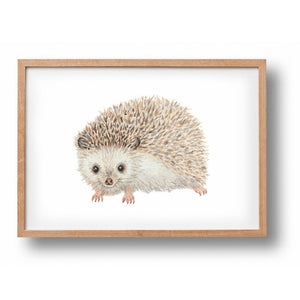 Poster egel - Art print