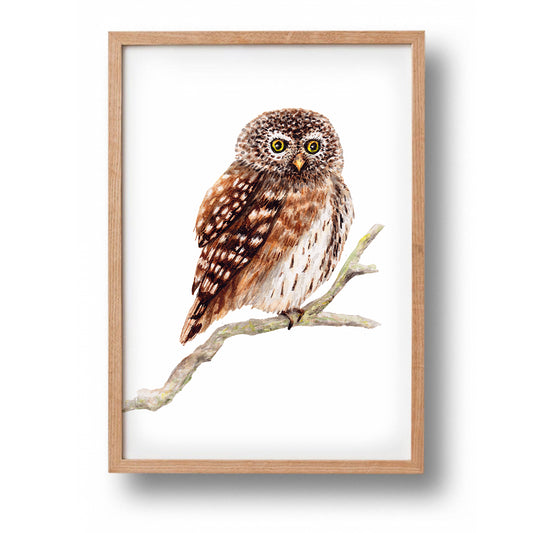 Affiche hibou - Impression d'art