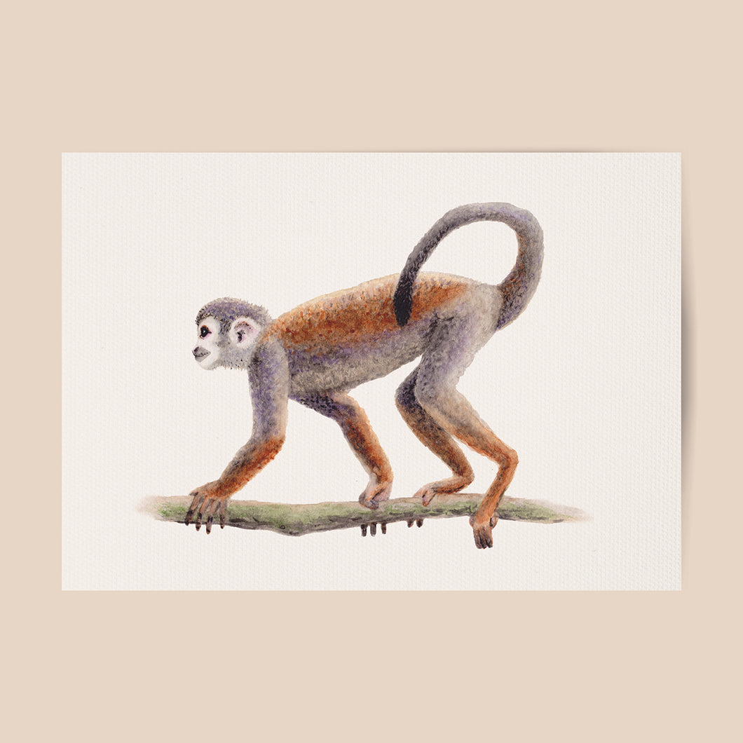Poster monkey