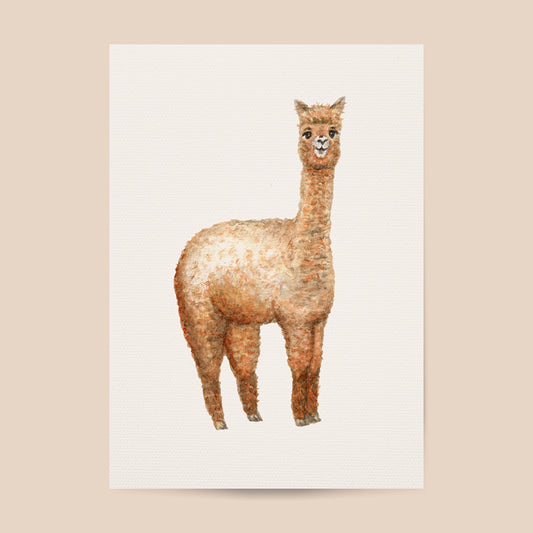 Poster alpaca - Art print