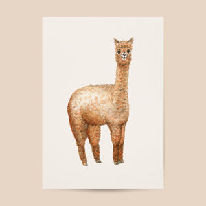 Poster alpaca - Art print