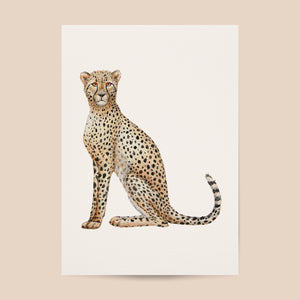 Poster cheetah