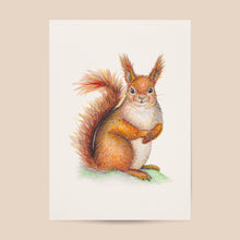 Afbeelding in Gallery-weergave laden, Poster eekhoorn - Art print
